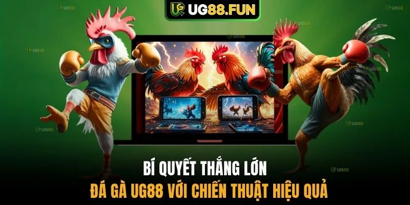 Bí quyết thắng lớn đá gà UG88 với chiến thuật hiệu quả