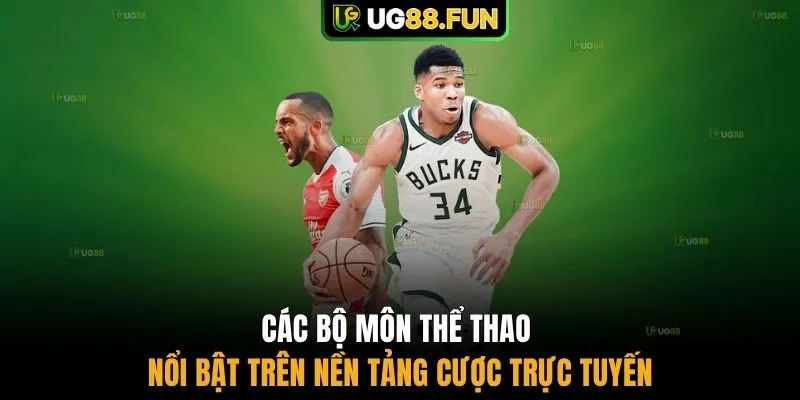 Các bộ môn thể thao nổi bật trên nền tảng cược trực tuyến