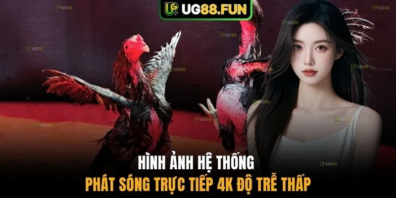 Hình ảnh hệ thống phát sóng trực tiếp 4K độ trễ thấp
