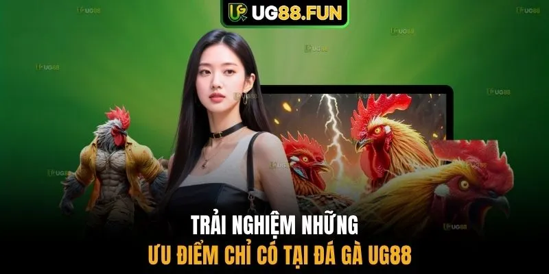 Trải nghiệm những ưu điểm chỉ có tại đá gà UG88
