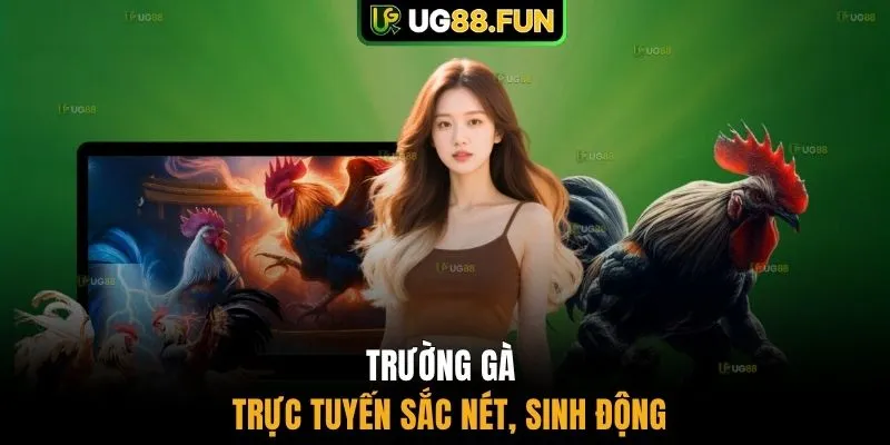 Trường gà trực tuyến sắc nét, sinh động